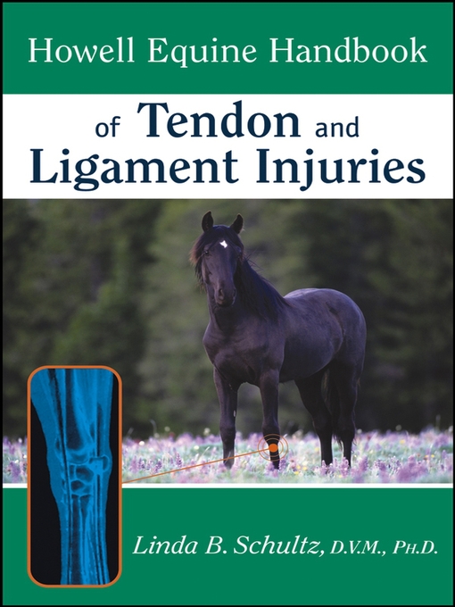 Title details for Howell Equine Handbook of Tendon and Ligament Injuries by Linda B. Schultz, DVM, Ph.D. - Available
